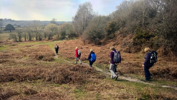 Heathland near Burley